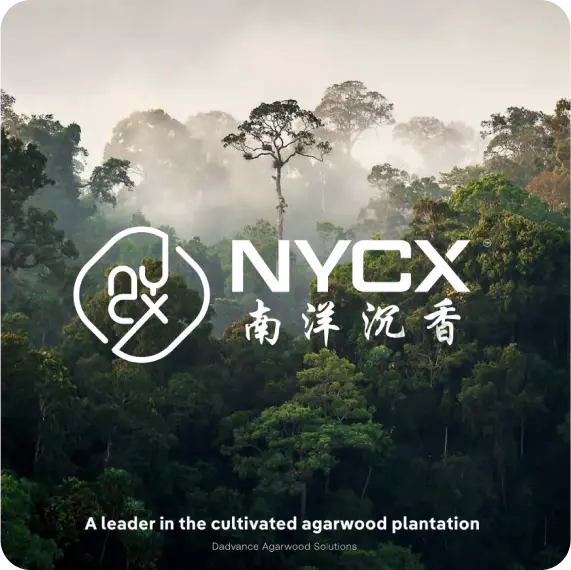 NYCX Branding & Identity